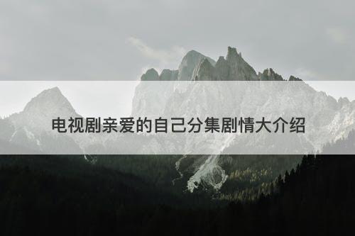 电视剧亲爱的自己分集剧情大介绍
