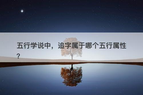 五行学说中，追字属于哪个五行属性？