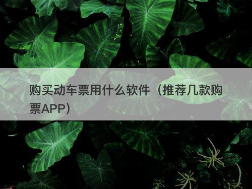 购买动车票用什么软件（推荐几款购票APP）