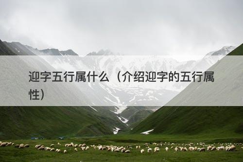 迎字五行属什么（介绍迎字的五行属性）