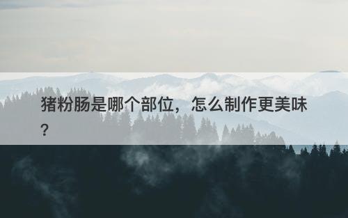 猪粉肠是哪个部位，怎么制作更美味？