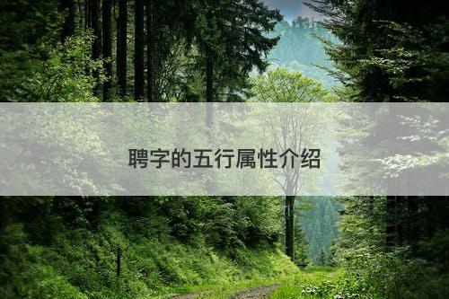 聘字的五行属性介绍