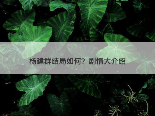 杨建群结局如何？剧情大介绍