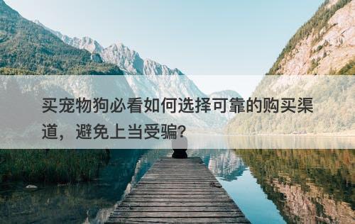 买宠物狗必看如何选择可靠的购买渠道，避免上当受骗？