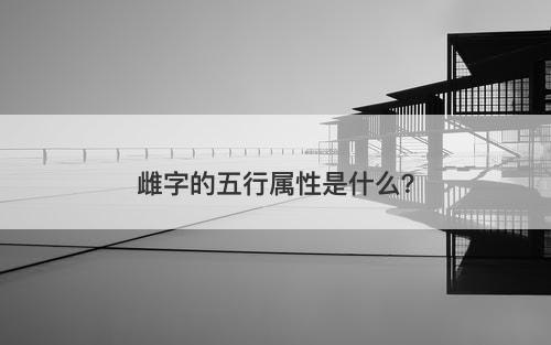 雌字的五行属性是什么？