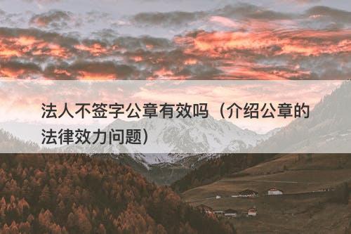 法人不签字公章有效吗（介绍公章的法律效力问题）