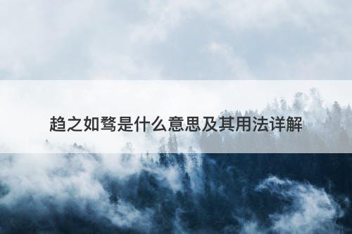 趋之如骛是什么意思及其用法详解