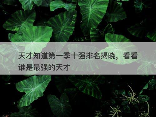 天才知道第一季十强排名揭晓，看看谁是最强的天才