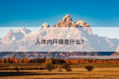 人体内环境是什么？