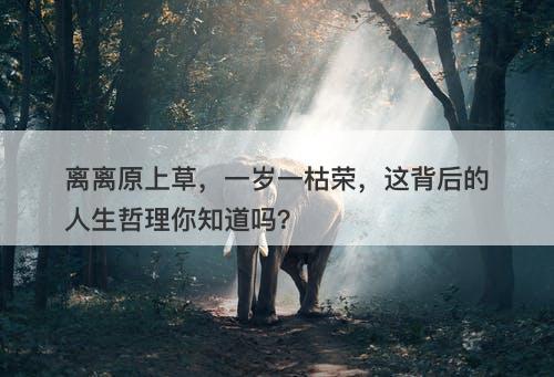 离离原上草，一岁一枯荣，这背后的人生哲理你知道吗？