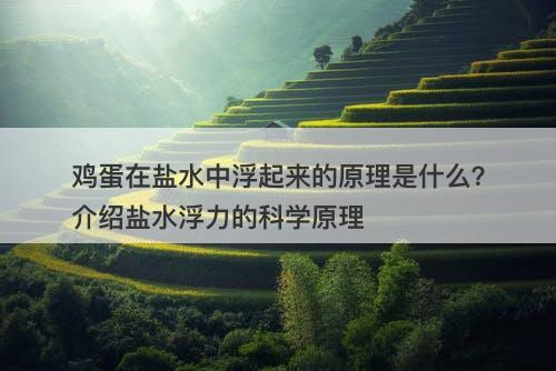 鸡蛋在盐水中浮起来的原理是什么？介绍盐水浮力的科学原理