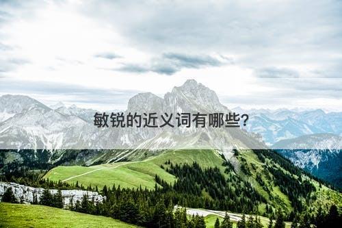 敏锐的近义词有哪些？