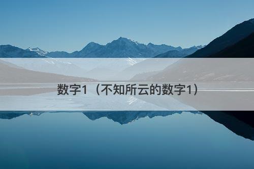 数字1（不知所云的数字1）