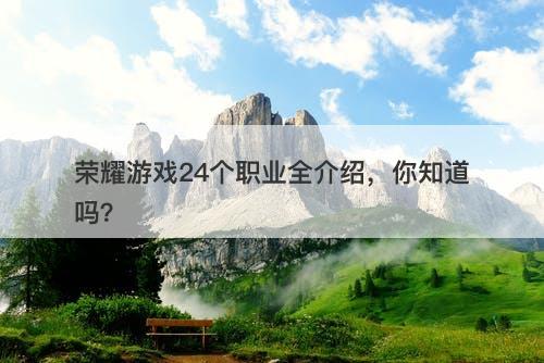 荣耀游戏24个职业全介绍，你知道吗？
