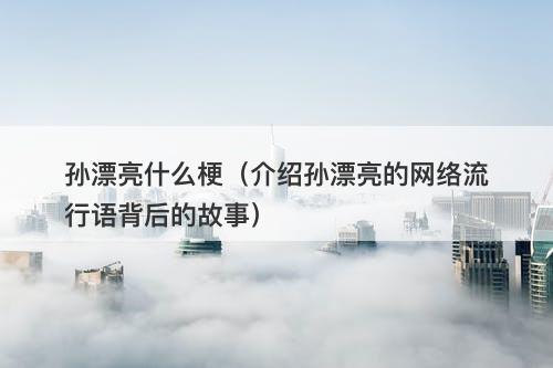 孙漂亮什么梗（介绍孙漂亮的网络流行语背后的故事）