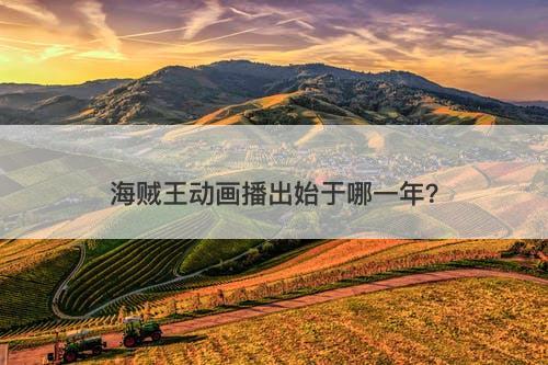 海贼王动画播出始于哪一年？