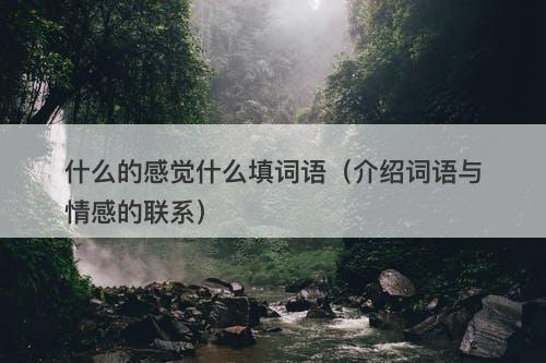 什么的感觉什么填词语（介绍词语与情感的联系）
