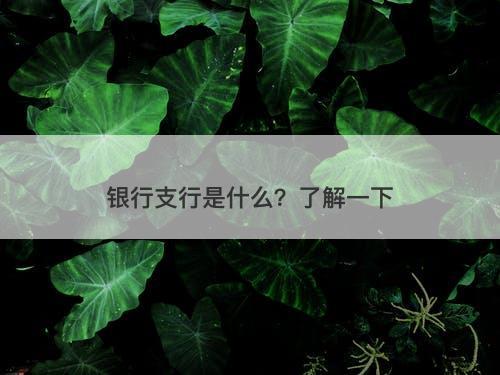 银行支行是什么？了解一下