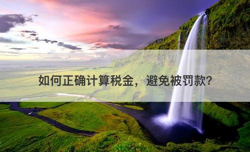 如何正确计算税金，避免被罚款？