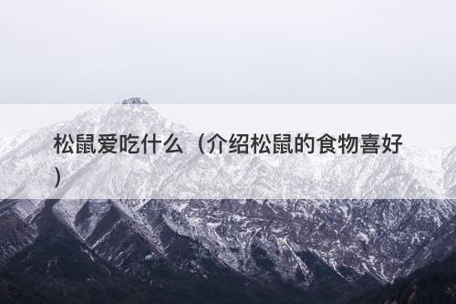 松鼠爱吃什么（介绍松鼠的食物喜好）