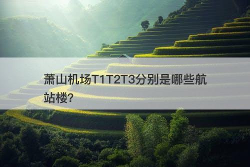 萧山机场T1T2T3分别是哪些航站楼？