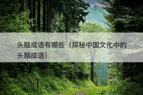 头脑成语有哪些（探秘中国文化中的头脑成语）