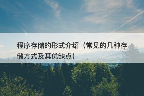 程序存储的形式介绍（常见的几种存储方式及其优缺点）