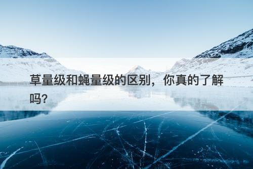 草量级和蝇量级的区别，你真的了解吗？