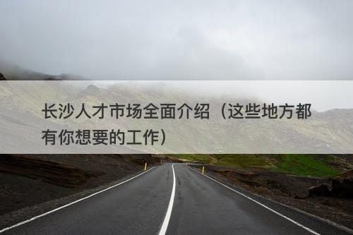 长沙人才市场全面介绍（这些地方都有你想要的工作）