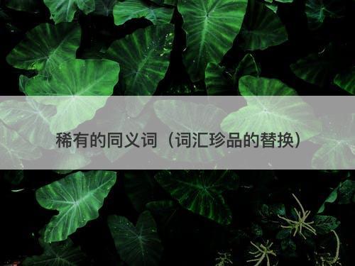 稀有的同义词（词汇珍品的替换）
