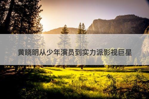 黄晓明从少年演员到实力派影视巨星