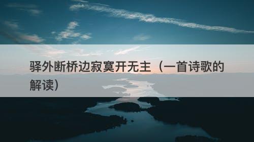 驿外断桥边寂寞开无主（一首诗歌的解读）
