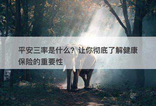 平安三率是什么？让你彻底了解健康保险的重要性