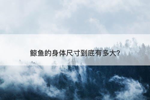 鲸鱼的身体尺寸到底有多大？