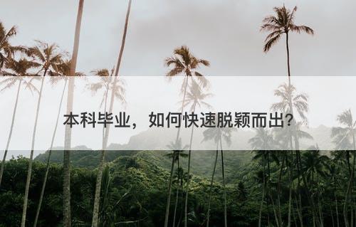 本科毕业，如何快速脱颖而出？