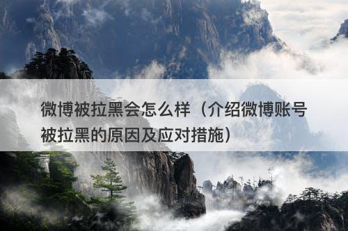 微博被拉黑会怎么样（介绍微博账号被拉黑的原因及应对措施）
