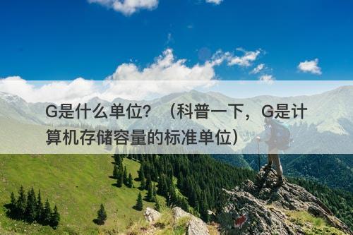 G是什么单位？（科普一下，G是计算机存储容量的标准单位）