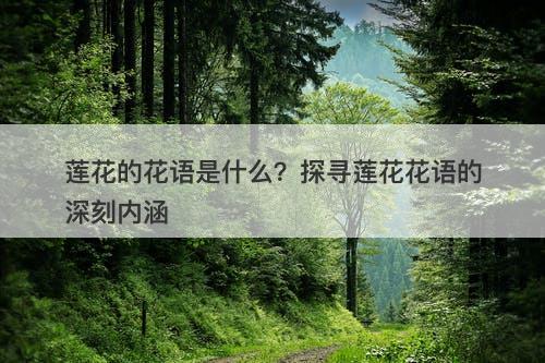 莲花的花语是什么？探寻莲花花语的深刻内涵