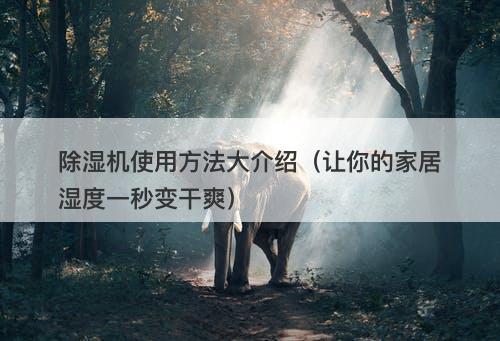 除湿机使用方法大介绍（让你的家居湿度一秒变干爽）