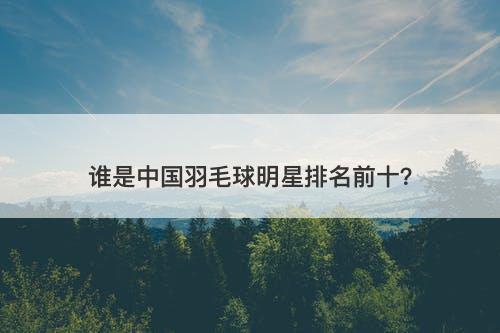 谁是中国羽毛球明星排名前十？