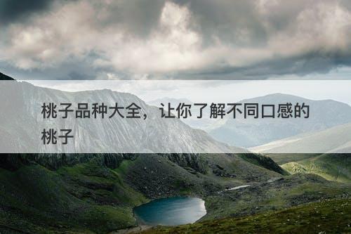 桃子品种大全，让你了解不同口感的桃子