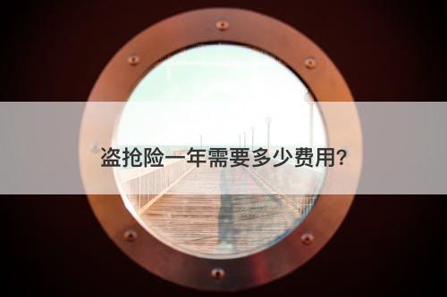 盗抢险一年需要多少费用？-图1