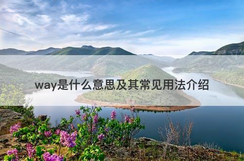 way是什么意思及其常见用法介绍