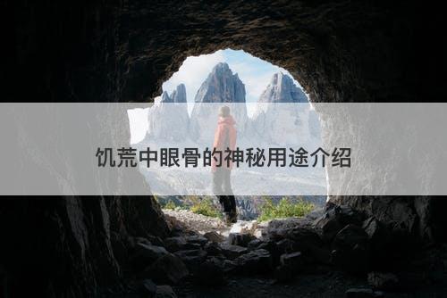 饥荒中眼骨的神秘用途介绍-图1