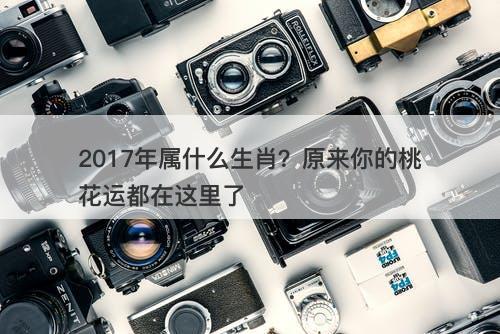 2017年属什么生肖？原来你的桃花运都在这里了