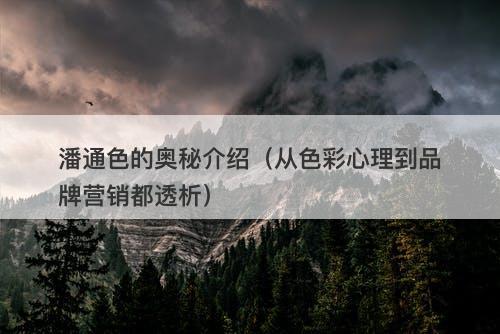 潘通色的奥秘介绍（从色彩心理到品牌营销都透析）