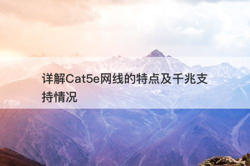 详解Cat5e网线的特点及千兆支持情况