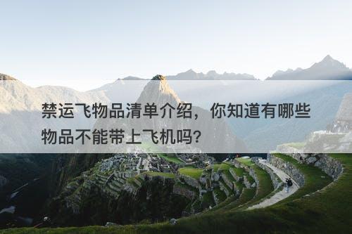 禁运飞物品清单介绍，你知道有哪些物品不能带上飞机吗？