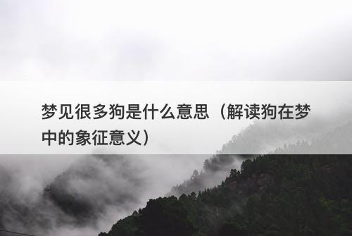梦见很多狗是什么意思（解读狗在梦中的象征意义）