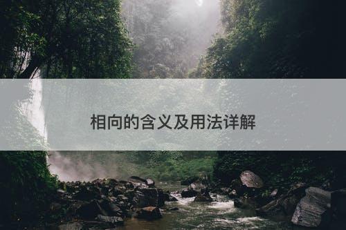 相向的含义及用法详解